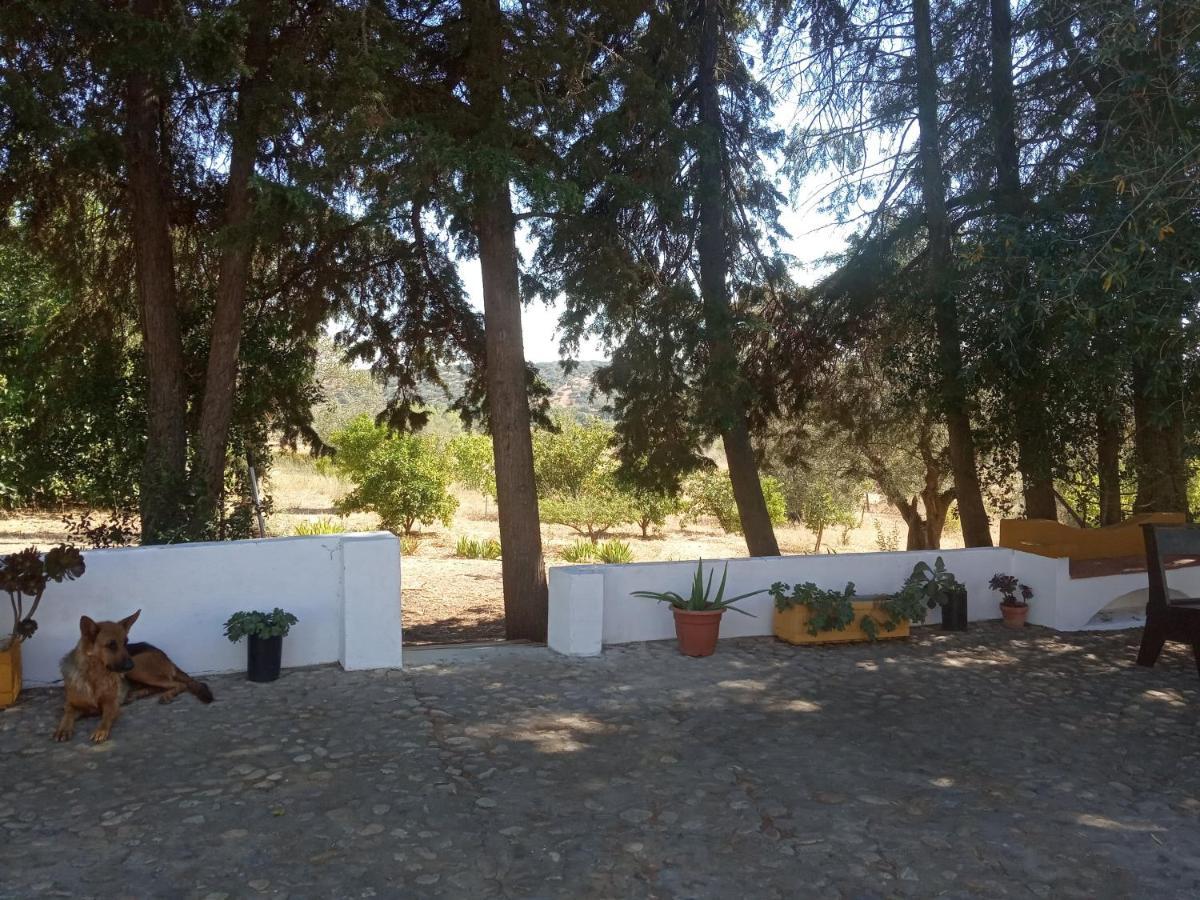 Monte Da Samarra Vila Aviz Exterior foto